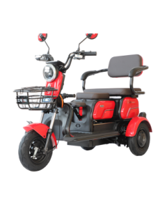 Electro-triciclo FANMILY