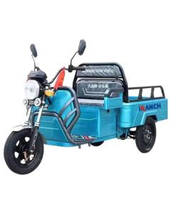 Moto Three Wheel Trike Motorized Electric Tricycle Adult in Stock