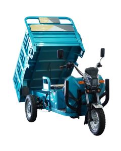 Hot Selling Electric Tricycles Cargo Truck Big Wheel Tricycle for Adult EEC COC DOT 1000W 25km/h 45km/h