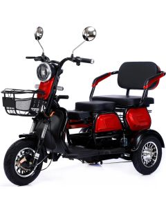 Factory 3 Wheel Electric Bike 600W 48V Electric Tricycles for Adults