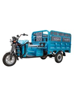 Electric Motorcycle Cargo Tuktuk Tricycle 1000w Open Passenger Tricycle Adult Electric Tricycle