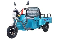 Moto Three Wheel Trike Motorized Electric Tricycle Adult in Stock