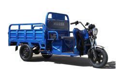 Wholesale Electric Motorcycle Tricycle 850W-1000w Electric Cargo Tricycle 3 Wheel Electric Bike for Adults