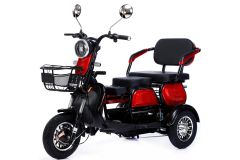 Factory 3 Wheel Electric Bike 600W 48V Electric Tricycles for Adults